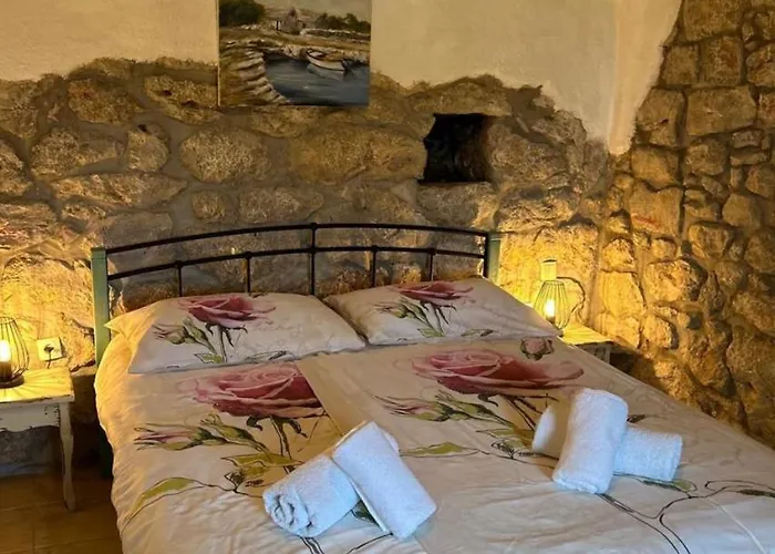 Jelly By Guide Kraljevica