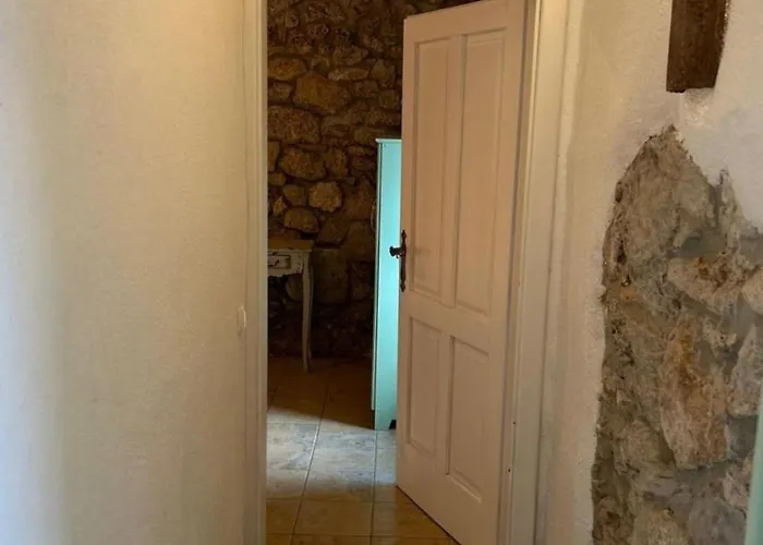 Jelly By Guide Villa