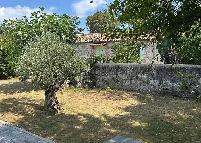 Jelly By Guide Villa